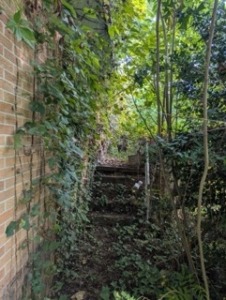 This image shows an entryway with overgrowth before brush removal.
