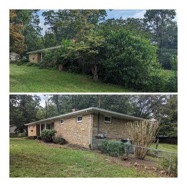 This image is a horizontal before and after collage of a major brush cleanup job.