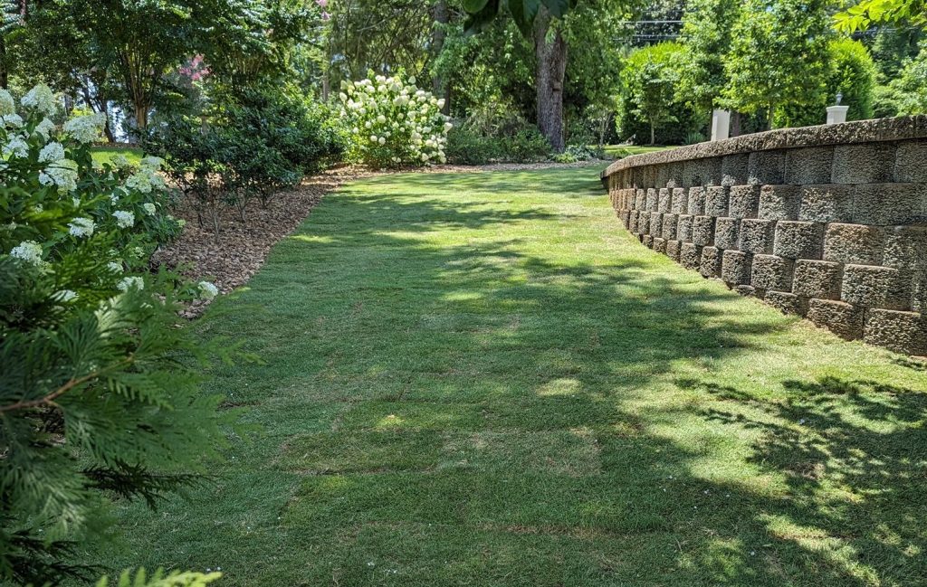 Freshly completed Bermuda sod yard and surrounding landscaping