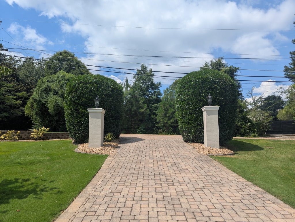 Two large shrubs freshly trimmed on a bright sunny day in Signal Mountain Tennessee.
