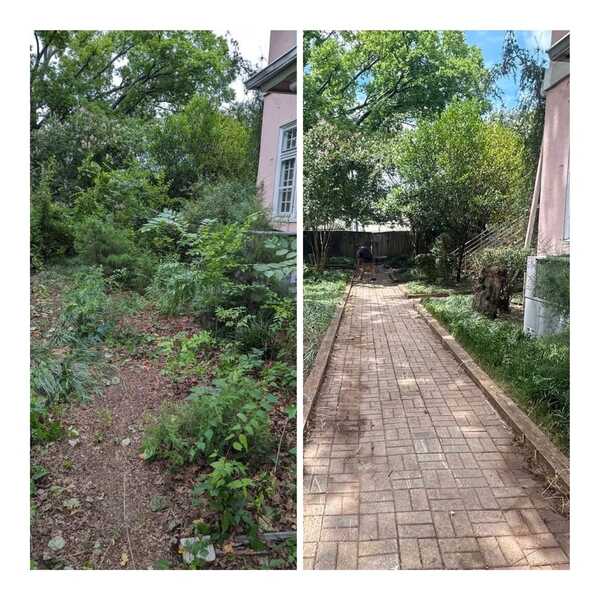 Before and after photo with overgrowth on the left and clean pathway and yard on the right following a landscape restoration project.