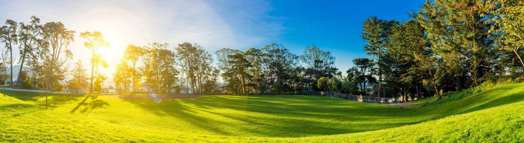 a large grassy field with trees in the background