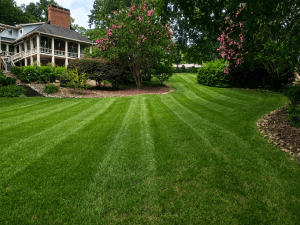 Freshly mowed, healthy lawn in Chattanooga with blooming shrubs and southern style home.