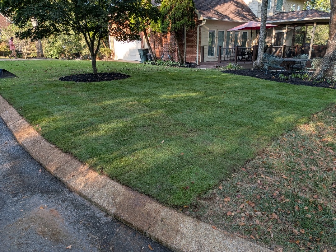 lush green sod install in Hixson TN with brick home in the background