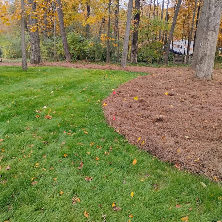 Galloway's Lawn Service