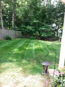 residential lawn maintenance