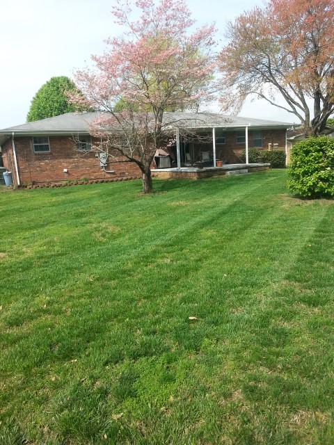 lawn mowing and trimming