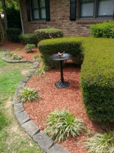 chattanooga lawn care