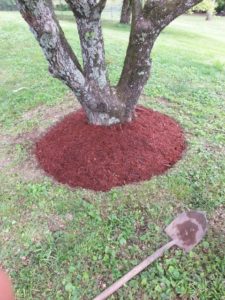 professional mulching company