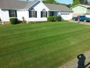 professional lawn mowing service in chattanooga