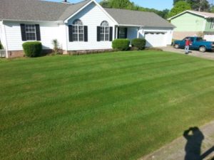 professional lawn mowing service in chattanooga