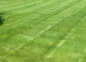 chattanooga lawn striping