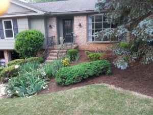 lawn care and mulching service