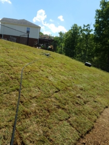 chattanooga sod installation company