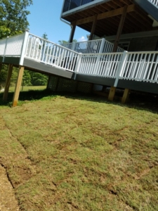 chattanooga sod installation company