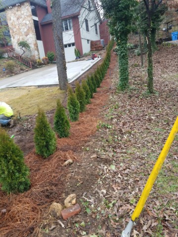 Chattanooga Landscaping