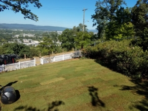 chattanooga sod installation company