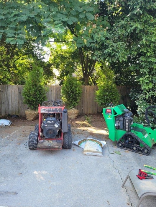 Galloways lawn service Chattanooga Fast growing privacy trees