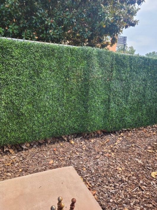 Galloways lawn service Chattanooga Privacy trees