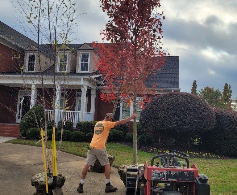 Chattanooga lawn care company