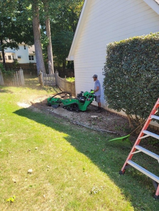 Galloways lawn service Landscpaing Chattannooga Stump grinding