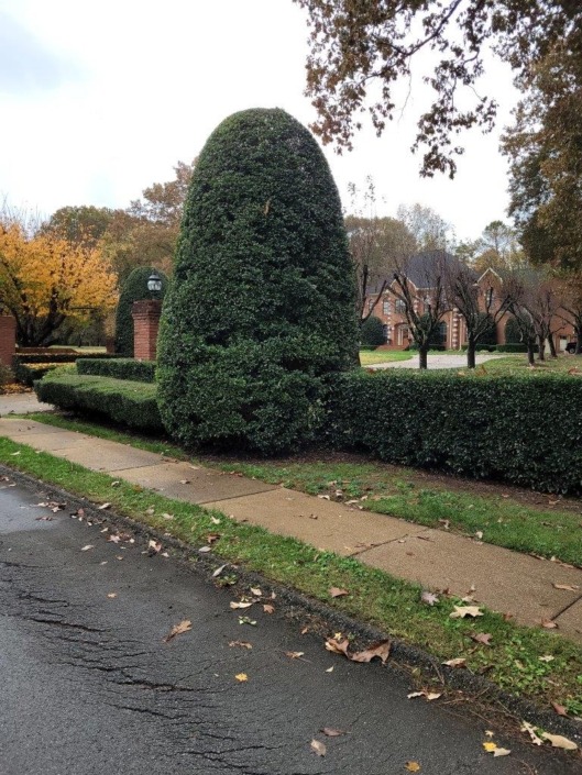 Gallowayslawnservice shrub trimming Chattanooga