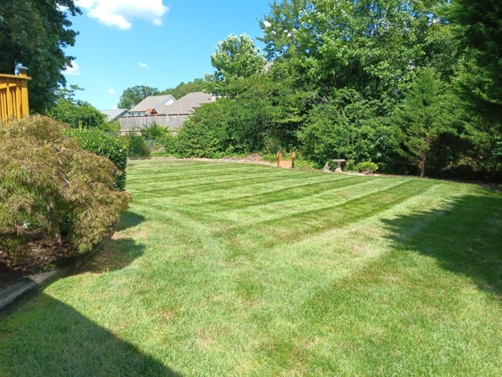 Another photo that shows a fresh cut lawn that Zach in his crew completed on a hot summer day in Chattanooga.