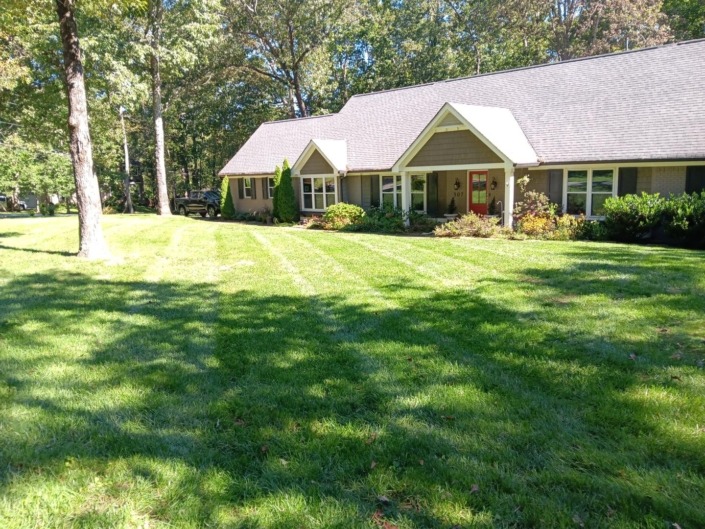 A well-kept lawn with mowing stripes.