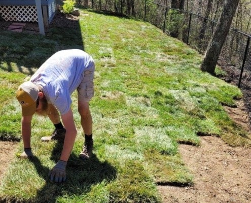 A member of The Galloway Team installs tall fescue sod.