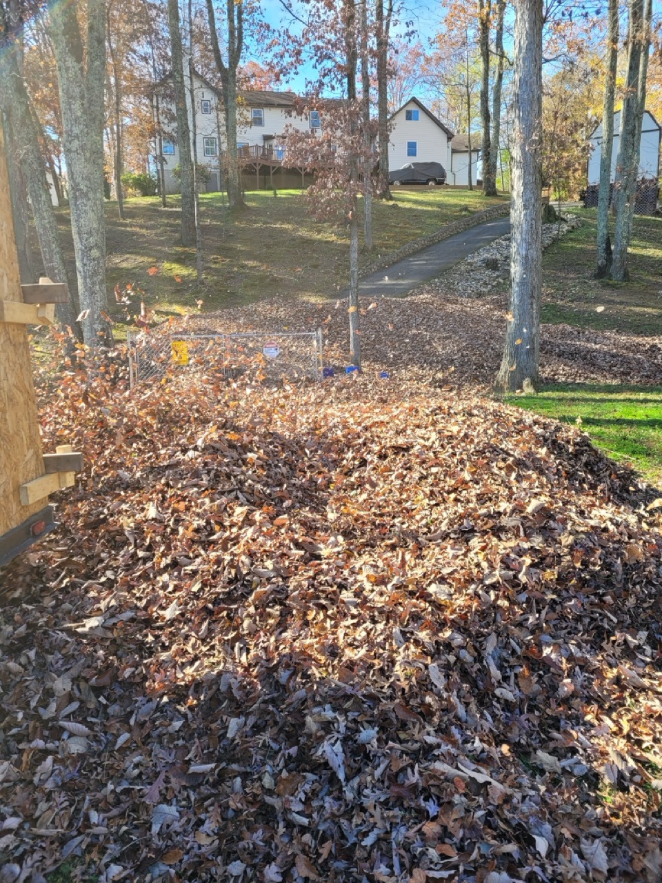 Large pile of fallen leaves collected during a residential leaf cleanup in Chattanooga, Tennessee, with trees and a house in the background.