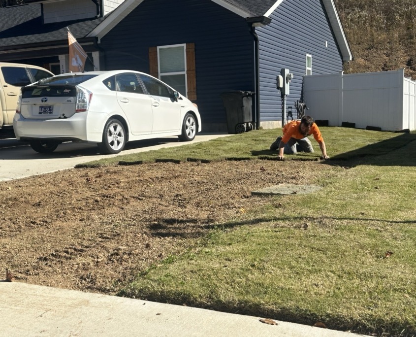 IMG_6289 Large IMG 6289 Large