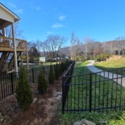 Planting Spartan Junipers in Chattanooga: A Reliable Choice for Privacy Screening 1 4013292493555088085